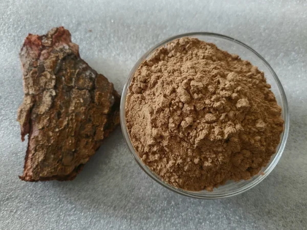 EPO OBO, Authentic Anti witchcraft Bark powder. Ficus Platyphylla - Image 8