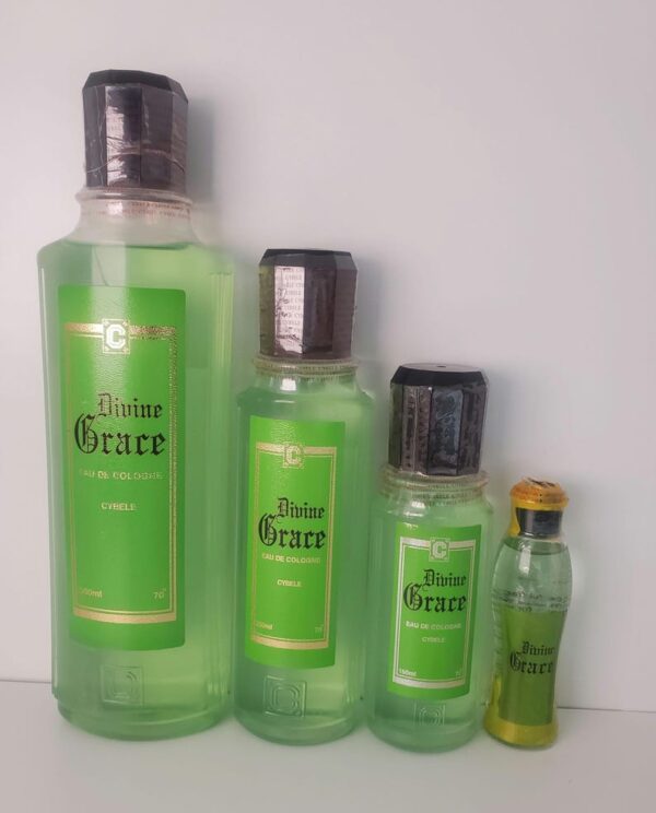 Divine Grace Perfume 250ml